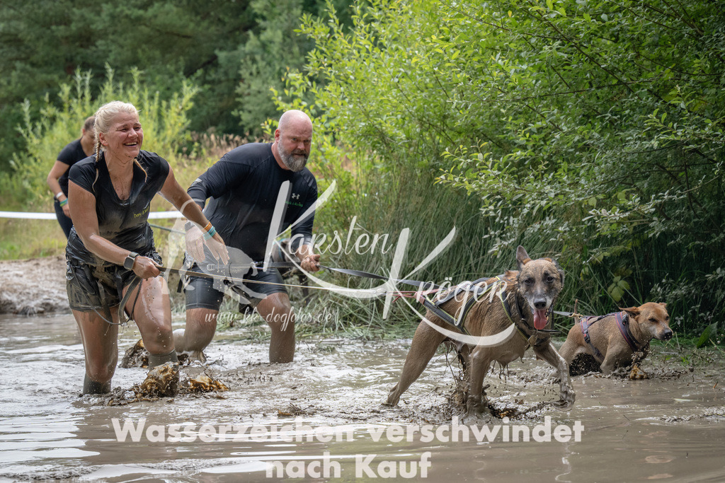 1449_ZZ93900 | kk-dogfotos