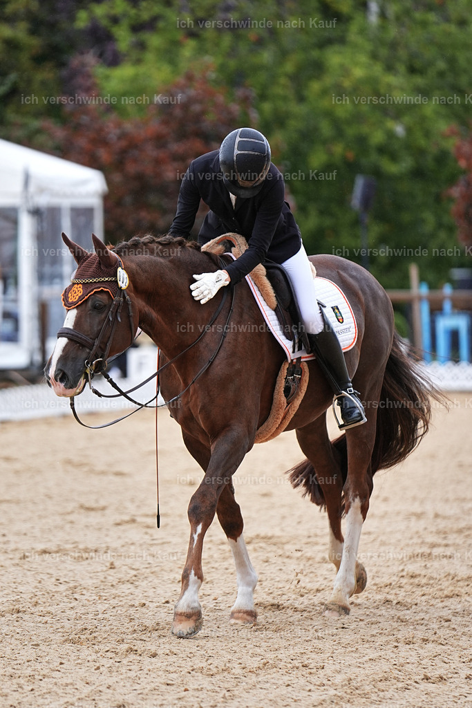 05-002-DRESSUR M_  -Marixx-4959 | working equitationturnier fotograf videograf stoibphotography marixx film working equitation deutschland reitsport turnierfotografie eventfotografie equestrian events
