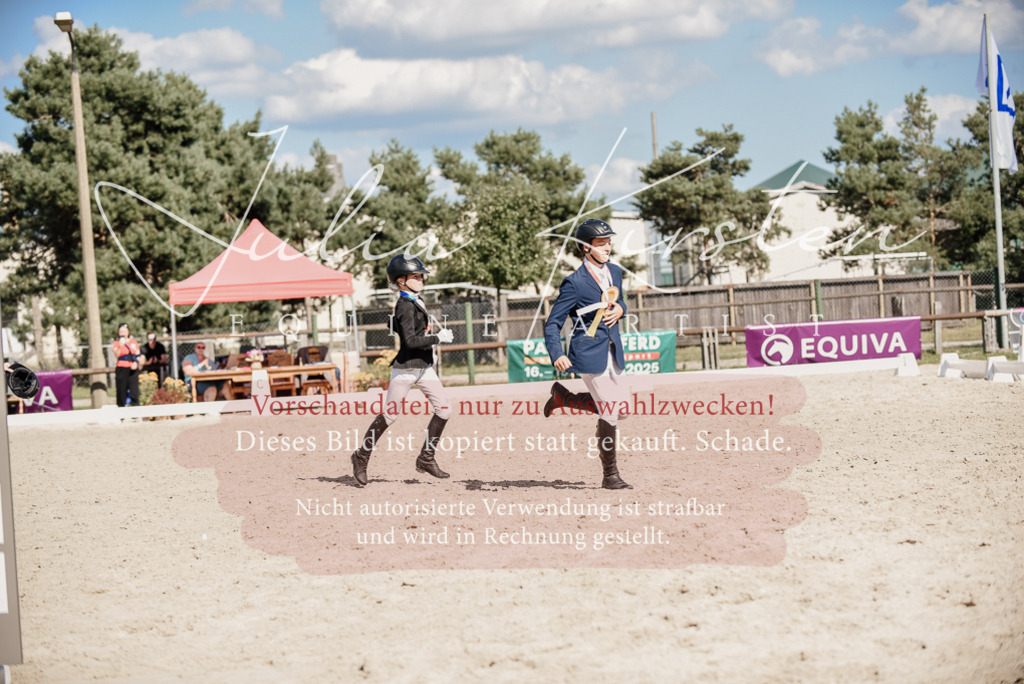 DSC_9870 | Pferde- und Turnierfotografie in Westsachsen. Pferdeportraits, Auftragszeichnungen und intuitive Kunst.
