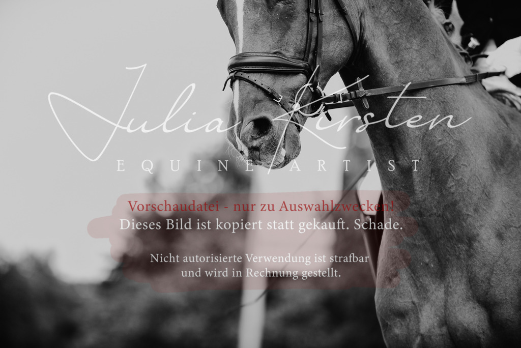 DSC_9120 | Pferde- und Turnierfotografie in Westsachsen. Pferdeportraits, Auftragszeichnungen und intuitive Kunst.