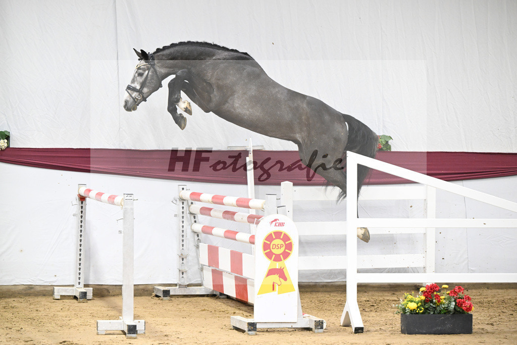 Kat-Nr. 72 Chacoon Blue x Contagio_Matthias Schlamminger GmbH_47252947 | hf-fotografie - Realisiert mit Pictrs.com