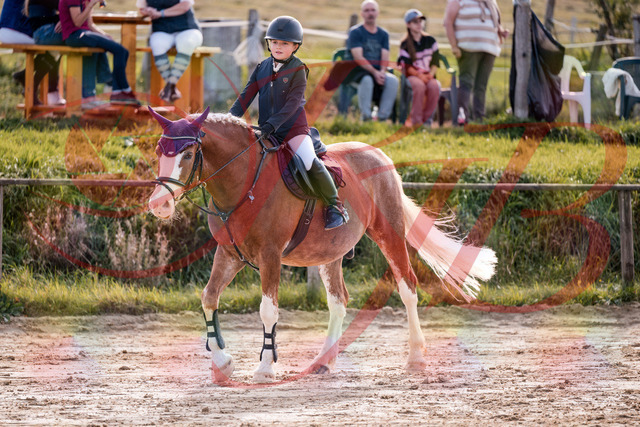 2026_10_03_Siefer-Hof_144531_Z81_21214198 | Professionelle Reitsport-, Turnier- und Eventfotografie von Robert Broda. Galerien mit ausgewählten und bearbeiteten Bildern direkt online ansehen und bestellen.