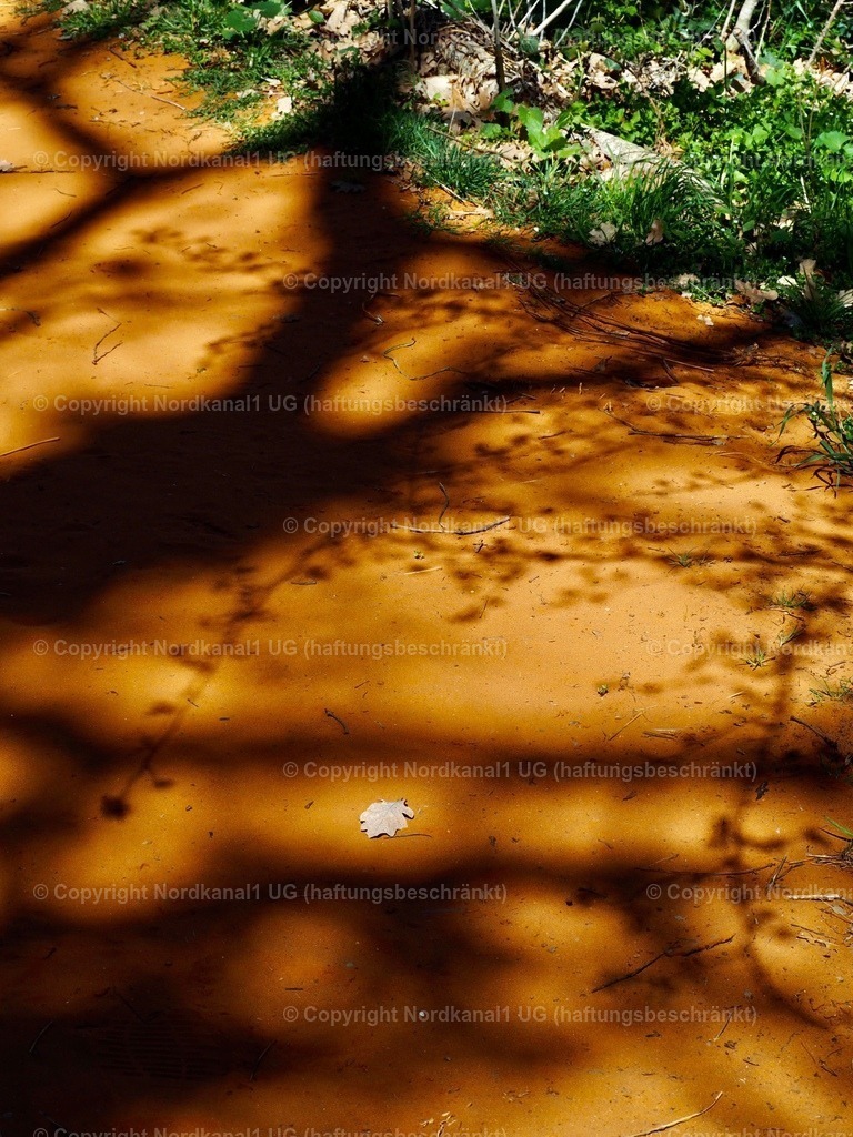 IMG_2960 | OLYMPUS DIGITAL CAMERA          - Realisiert mit Pictrs.com