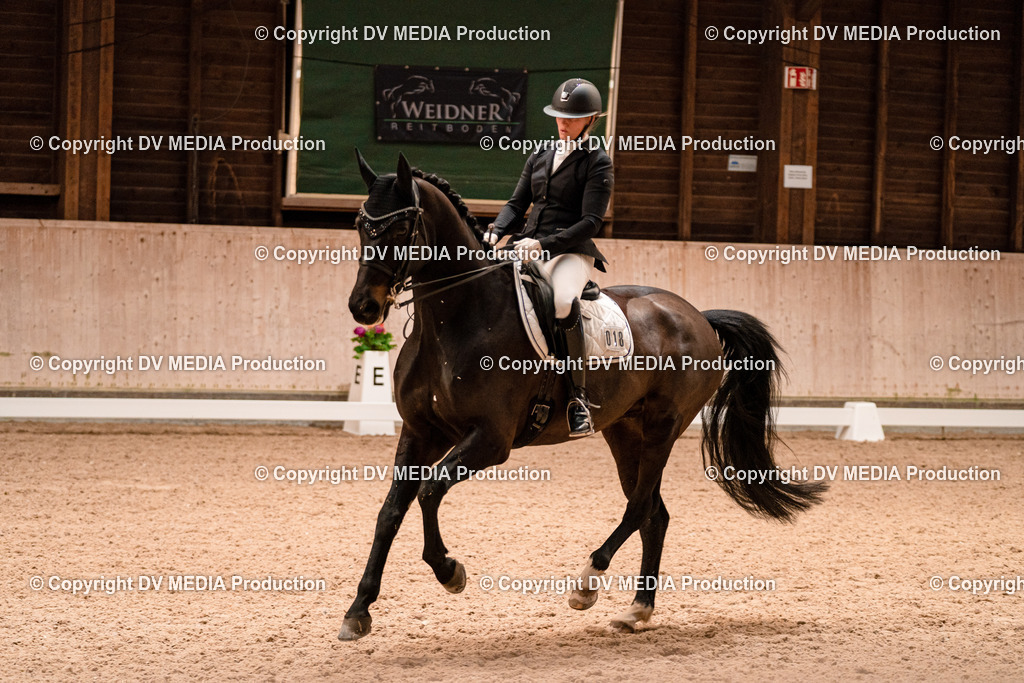 Dressur Tag 1 -252 | dv-media-shop - Realisiert mit Pictrs.com
