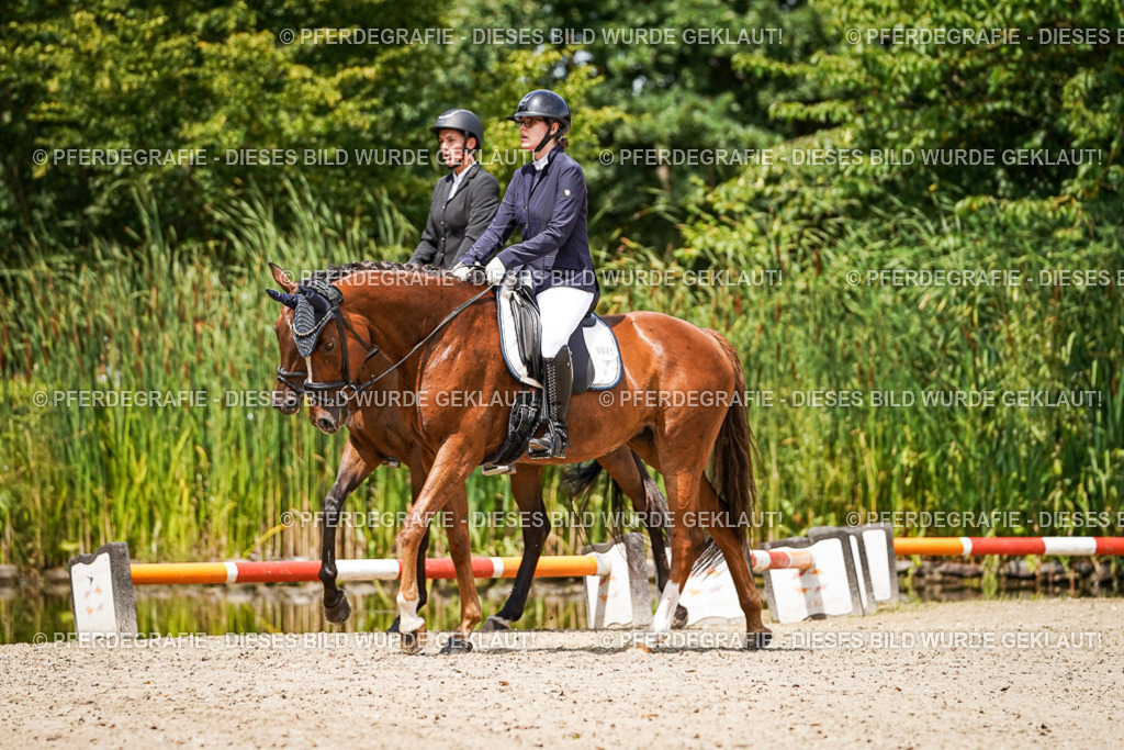 DSC02209 | Pferdegrafie