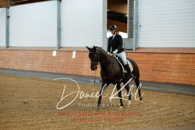 _62_6554 | Turniersportfotografie; Pferdefotografie; Dressurfotografie