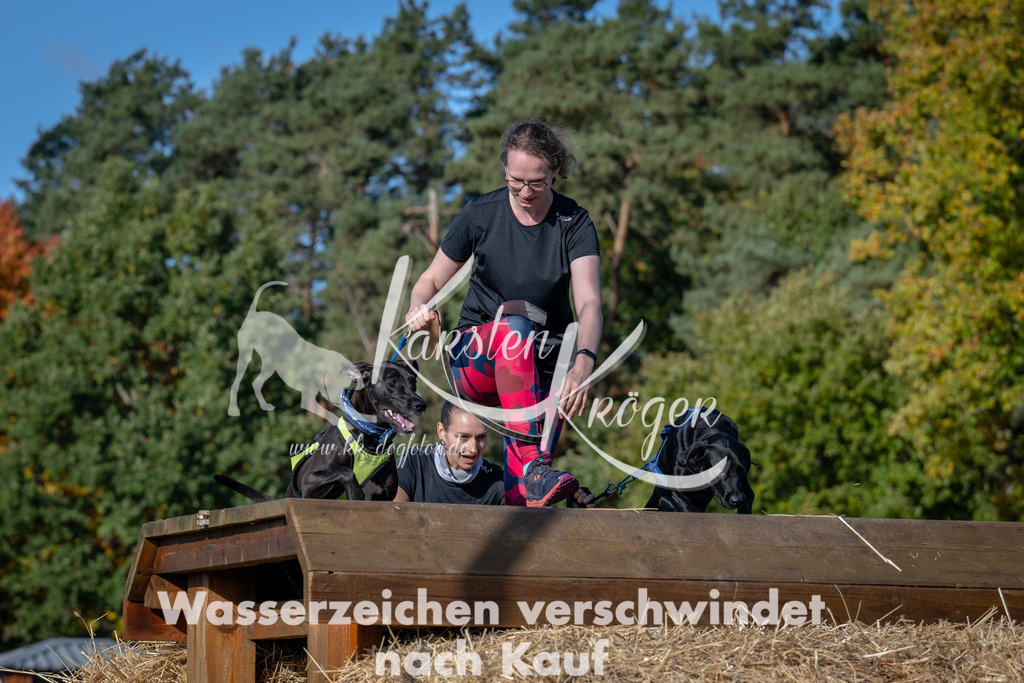 1052_ZZ91904 | kk-dogfotos