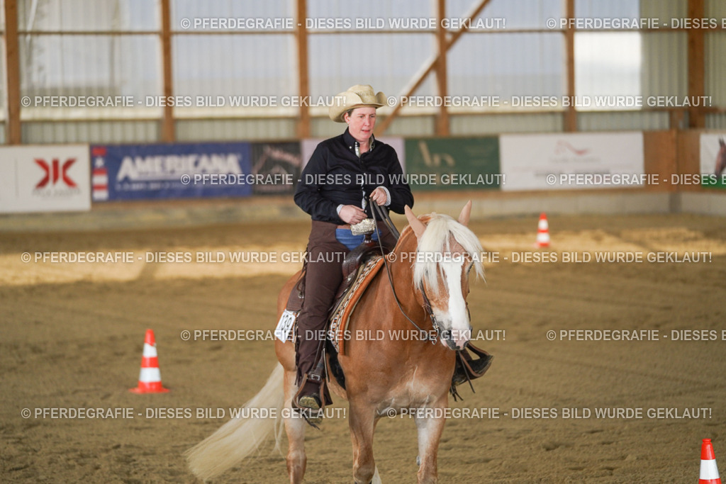 DSC00960 | Pferdegrafie