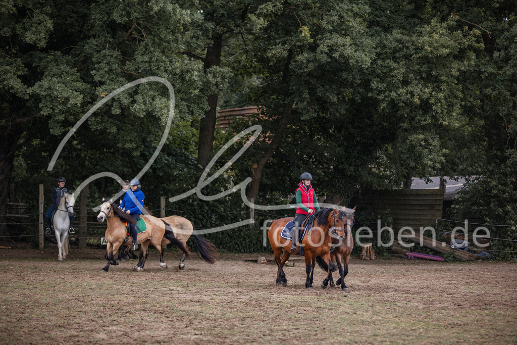 846A0209 | fotosleben - Realisiert mit Pictrs.com