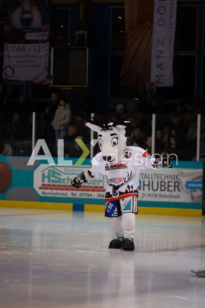 Eishockey I Herren I Saison 2025-2026 I Regio League | 3. Liga Regular Season Gr. 1 ZS | Men I 17. Spieltag I EHC Herrischried - HC Wohlen Freiamt I 01.02.2026 | Hochwertige Sportfotos kaufen & lizenzieren für Medien, Vereine, Agenturen & Sportler:innen. Entdecke professionelle Sportfotografie im Bildshop von Alexander Franzen. - Realisiert mit Pictrs.com