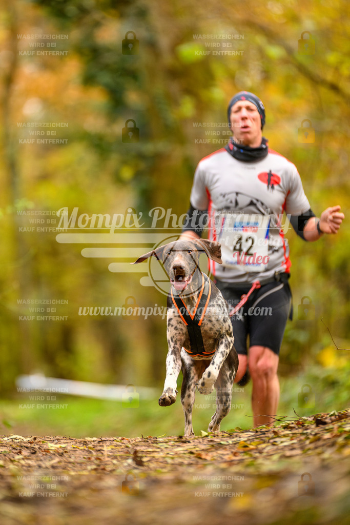 MompixPhotography_Bischwiller24_SA_Canicross-30 | PayLife