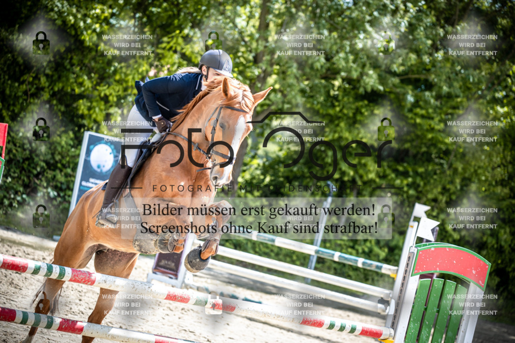 DOS_1594 | Reitturnier Lüdinghausen - Realisiert mit Pictrs.com