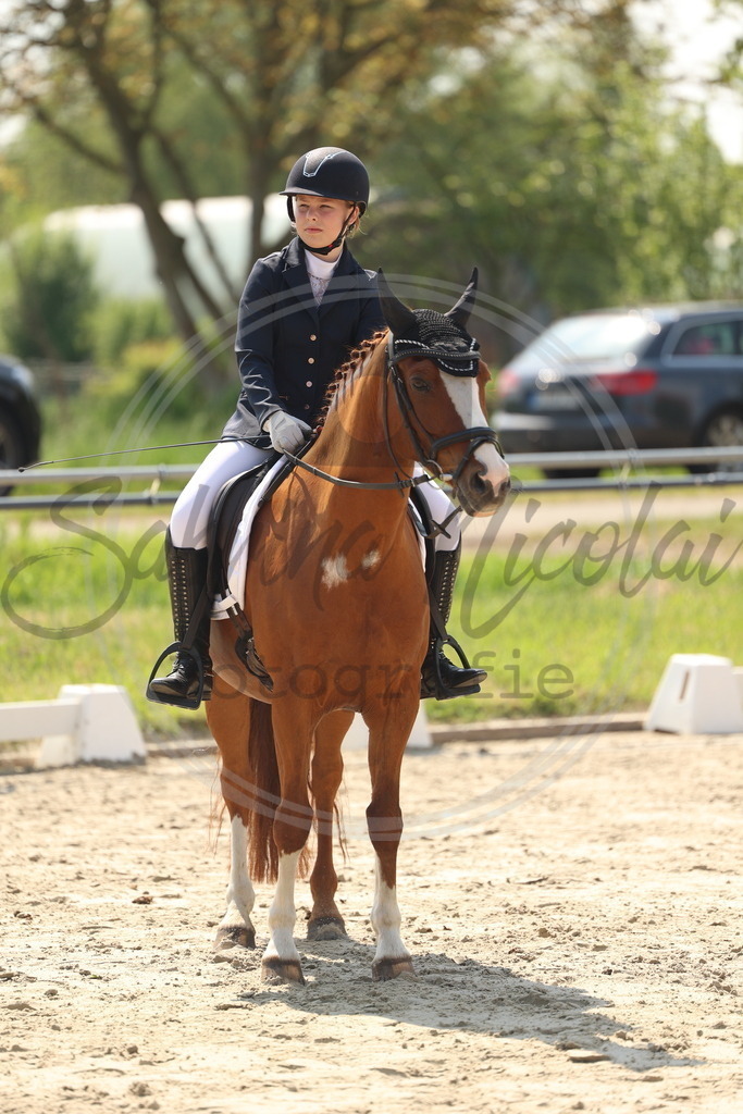 994A7352 | sabrinanicolaifotografie - Realisiert mit Pictrs.com