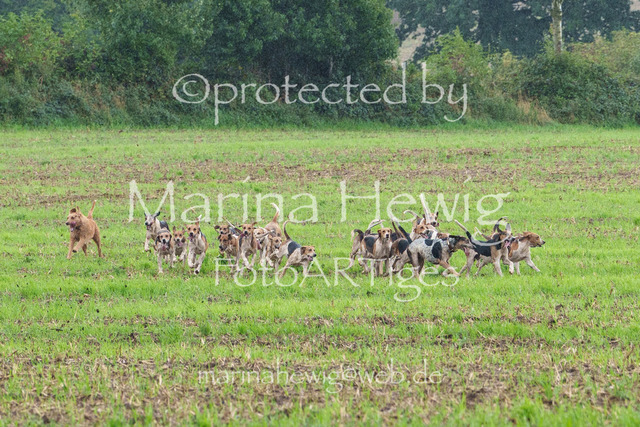 Jagd Perdoel 26 Sony-03418_MarinaHewig | Fotografie, FotoArt, PferdesportArt, Pferdesportfotografie, Landschaftsfotografie, Reisefotografie, Reise, Pferde - Realisiert mit Pictrs.com