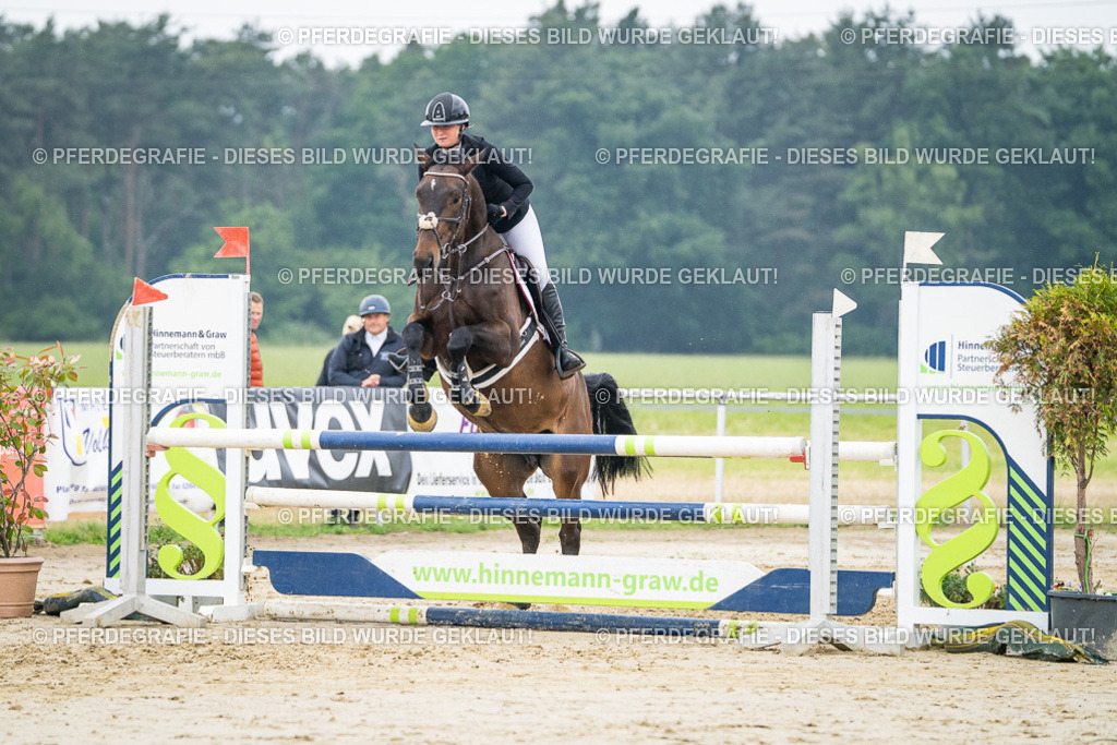 DSC00625 | Pferdegrafie