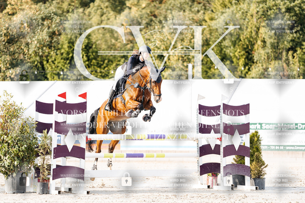 CK903367 | Turnierfotografie Pferdefotografie Trier Rheinland-Pfalz Pferdesport Reitsport Tierfotografie Sportfotografie Pferdevideo Pferdevideografie Equestrianvideography equestrianphotography  - Realisiert mit Pictrs.com