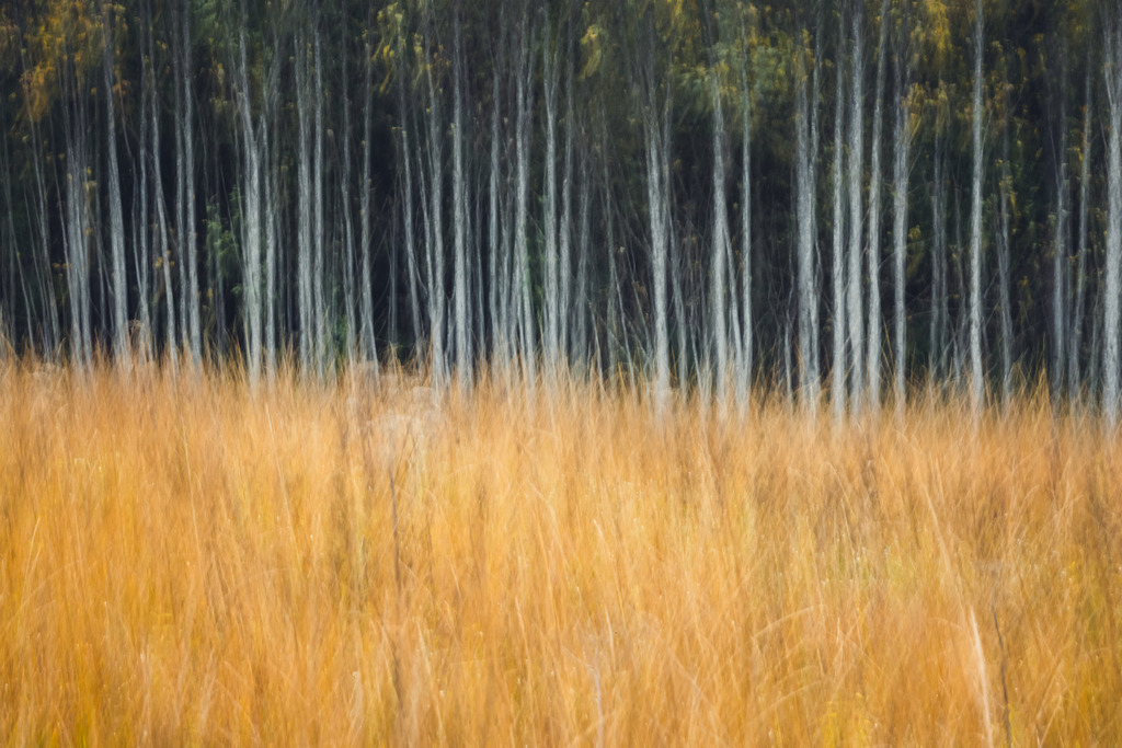 _T2A7972 | ap-design // andreas plenk - Realisiert mit Pictrs.com