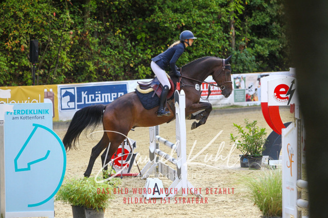 DKP40144 | Turniersportfotografie; Pferdefotografie; Dressurfotografie