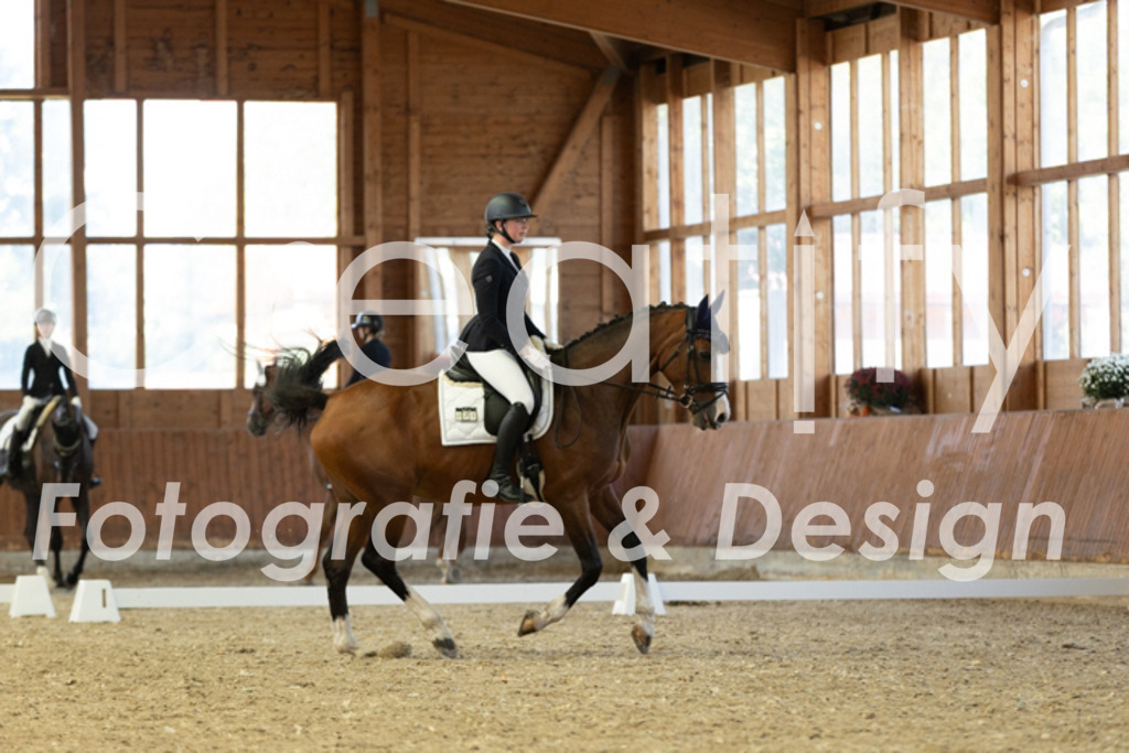 IMG_5016 | Creatify Fotografie