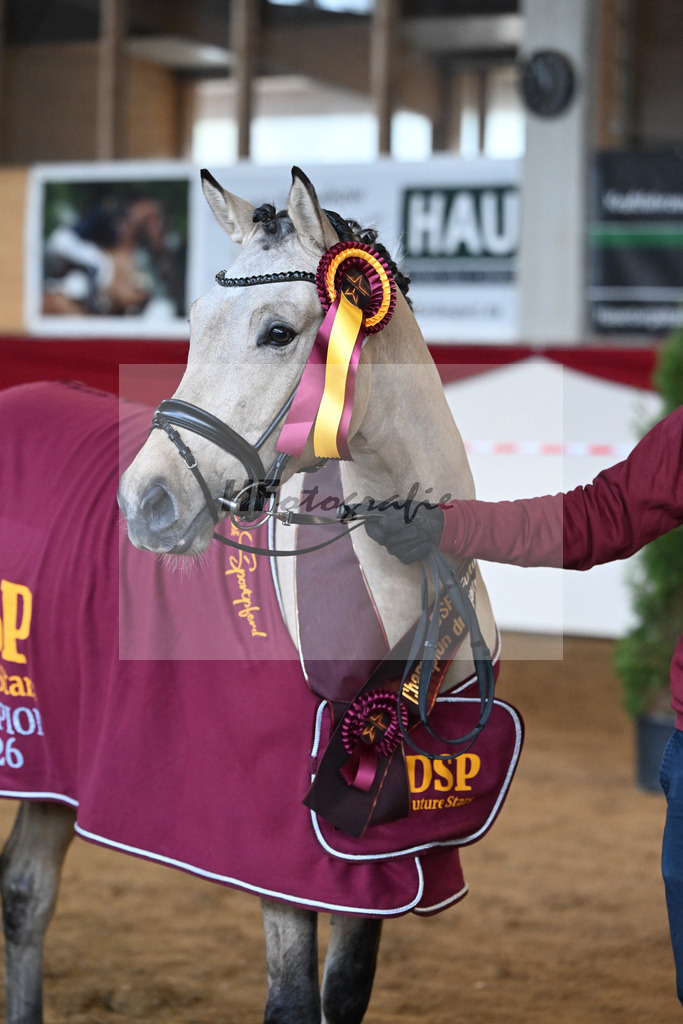 Kat-Nr. 50 Gruendleinhofs Gluecksgarant v. Gold Garant NRW_Kaus_16250586 | hf-fotografie - Realisiert mit Pictrs.com