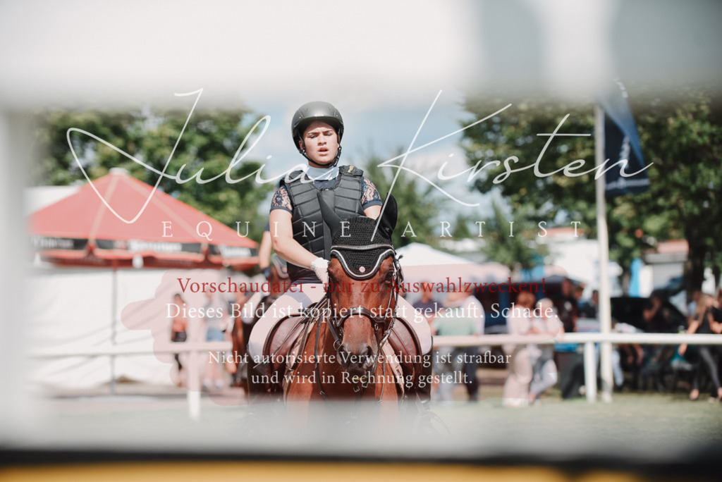 DSC_5702 | Pferde- und Turnierfotografie in Westsachsen. Pferdeportraits, Auftragszeichnungen und intuitive Kunst.