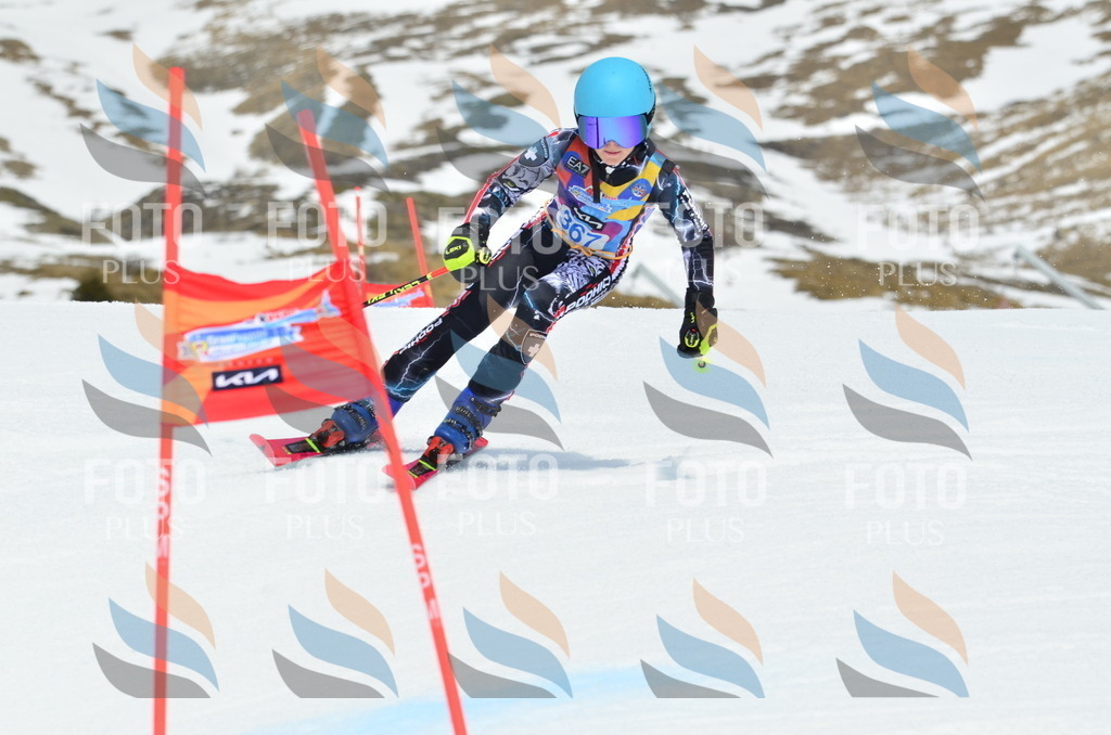 _ELE2971 | holidayphoto