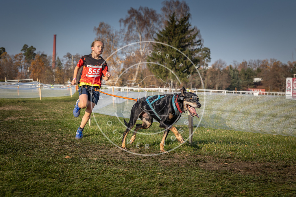 CaniXpix_0L8A9140 | Hundefotografie, Tierfotograf, Pfotenfotografie, Fotoshooting Hund, Hunde Portrait, Hundesport, Hundeportraits, Heideshooting, Hunde, Sportfotograf, Hundefotograf, Turnierhundsport, THS,  - Realisiert mit Pictrs.com