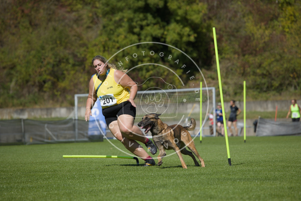 0L8A5792 | Hundefotografie, Tierfotograf, Pfotenfotografie, Fotoshooting Hund, Hunde Portrait, Hundesport, Hundeportraits, Heideshooting, Hunde, Sportfotograf, Hundefotograf, Turnierhundsport, THS,  - Realisiert mit Pictrs.com