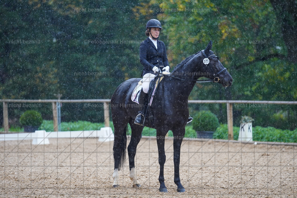 20221008-FAH02069 | Diessen am Ammersee, 2022, Dressur- und Springturnier, Reitsportbilder, Turnierfotografen Bayern, Pferdefotografen, Fotoagentur Herrmann, Turnierbilder