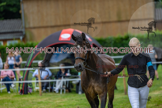 3_MG_3636 (387) | mandyhollmannphotographie