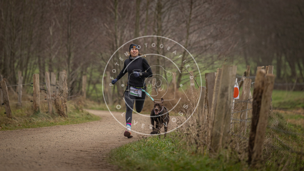 Pfotenfotografie_DV3A2677 | Hundefotografie, Tierfotograf, Pfotenfotografie, Fotoshooting Hund, Hunde Portrait, Hundesport, Hundeportraits, Heideshooting, Hunde, Sportfotograf, Hundefotograf, Turnierhundsport, THS,  - Realisiert mit Pictrs.com