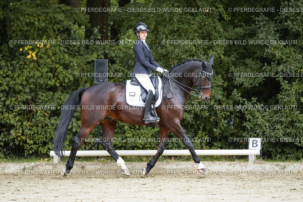 DSC09119 | Pferdegrafie