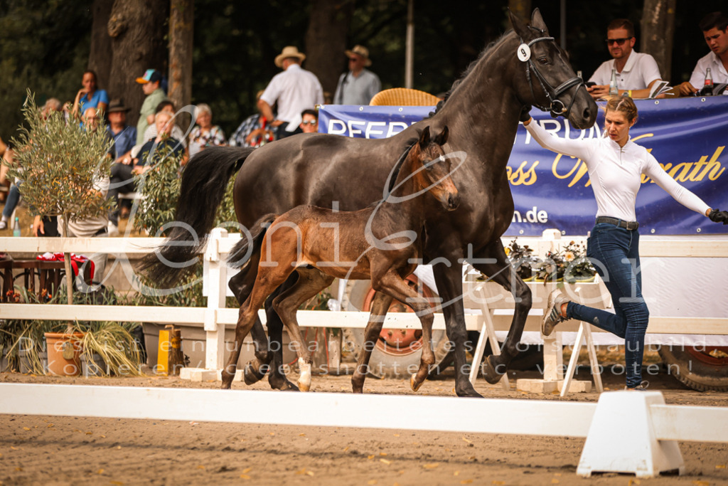 SaPA00124 | Leoni Ertmer Photography - Realisiert mit Pictrs.com