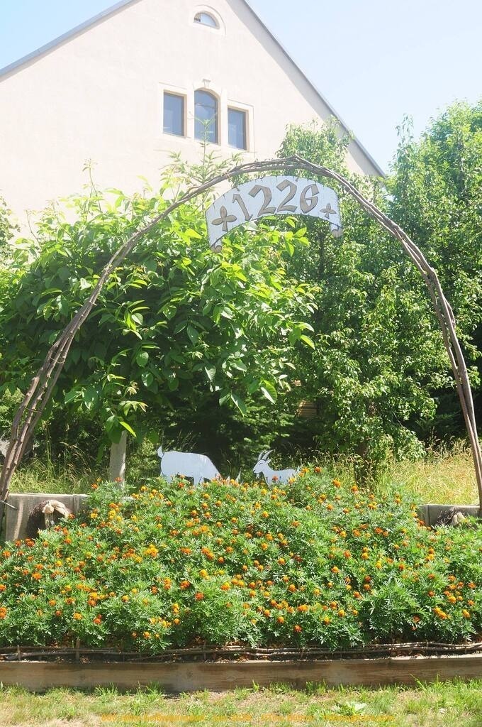 Geißmannsdorf-2026-Ortsbilder-016 | Geißmannsdorf bei Bischofswerda im Sommer 2026. Ein fotografischer Streifzug durch das Dorf Geißmannsdorf, mit Gebäuden, Straßen, Strohpuppen und geschmückten Vorgärten und Grundstücken anlässlich der 800-Jahr-Feier von Geißmannsdorf im Juni 2026 - Realisiert mit Pictrs.com