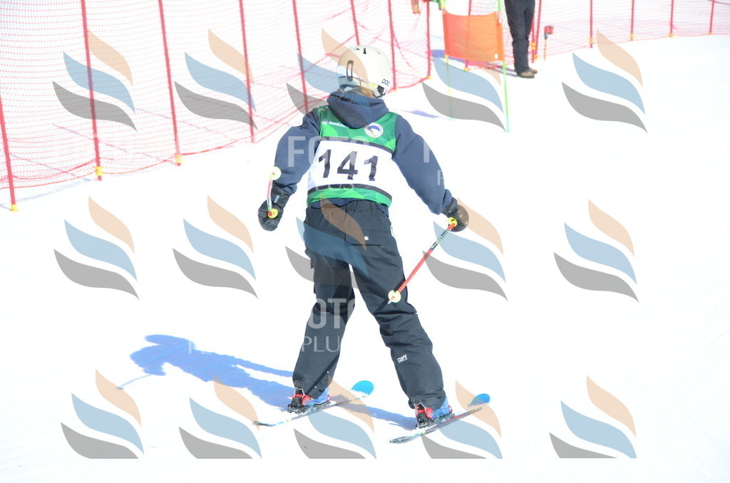 C6044 | holidayphoto