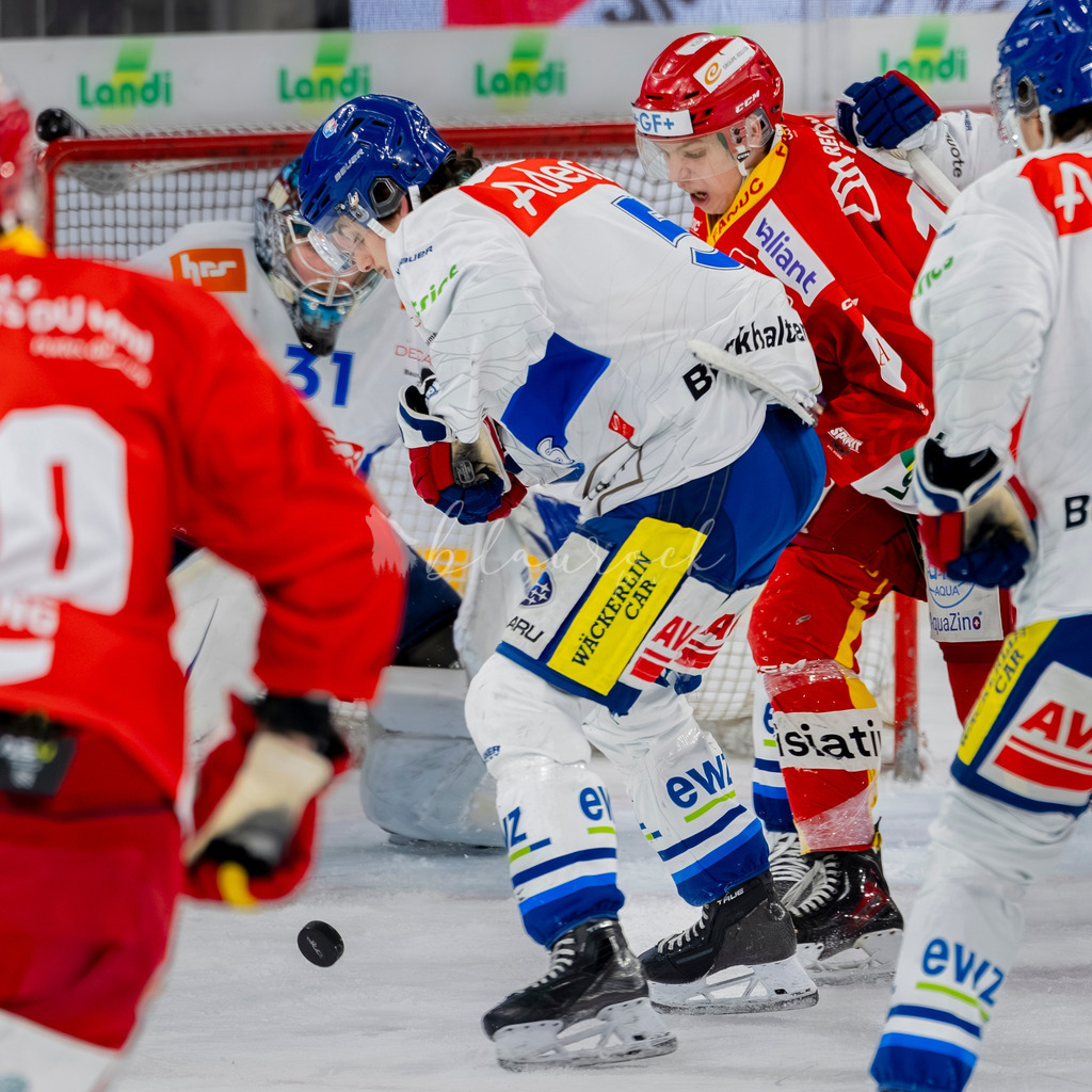 EHCB vs GCK 20260104-7773 | Sportbilder, Sportfotograf, Hochzeits- und Eventfotografin, Flugshows, Portraits und Tiershooting, Aviation, Downhill, Nationalleague, Swissleague, International