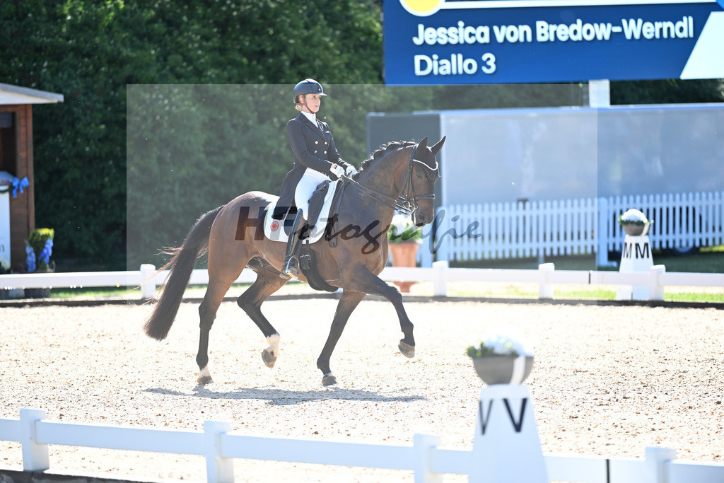 Werndl_Diallo_11253760 | hf-fotografie - Realisiert mit Pictrs.com