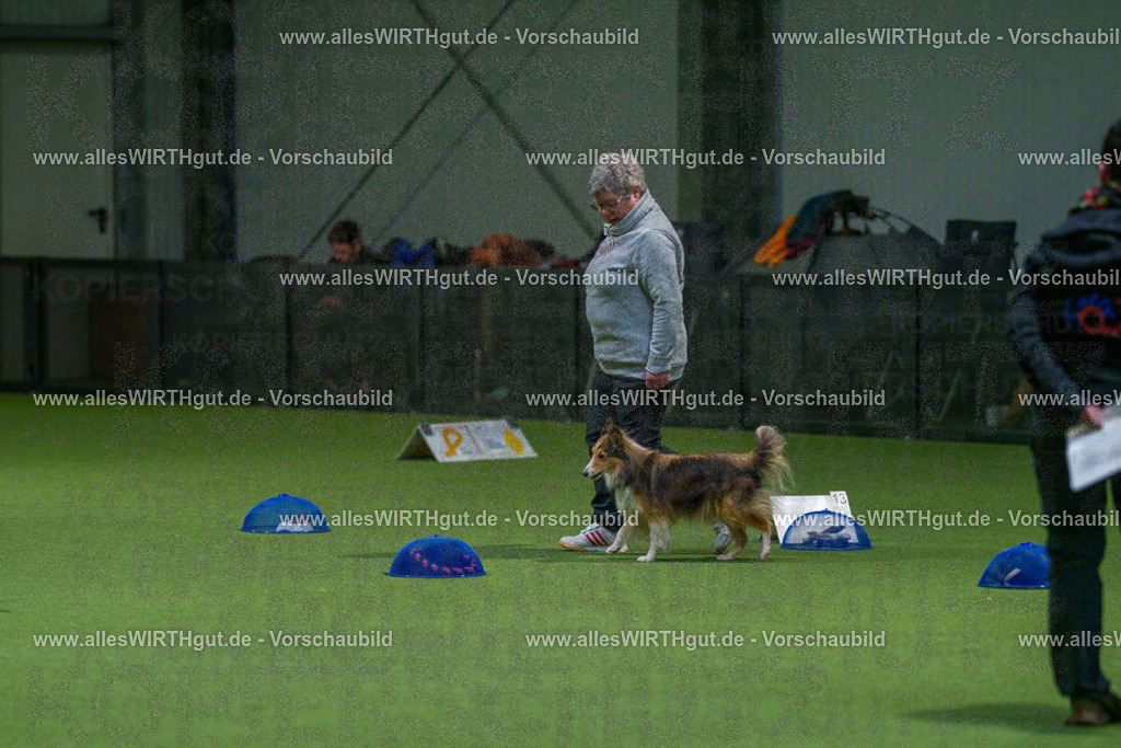 7R504842 | Professionelle Tierfotografie in Mönchengladbach von Daniel Wirth (allesWIRTHgut). Liebevolle & natürliche Bilder von Hunden & Katzen für unvergessliche Erinnerungen.
