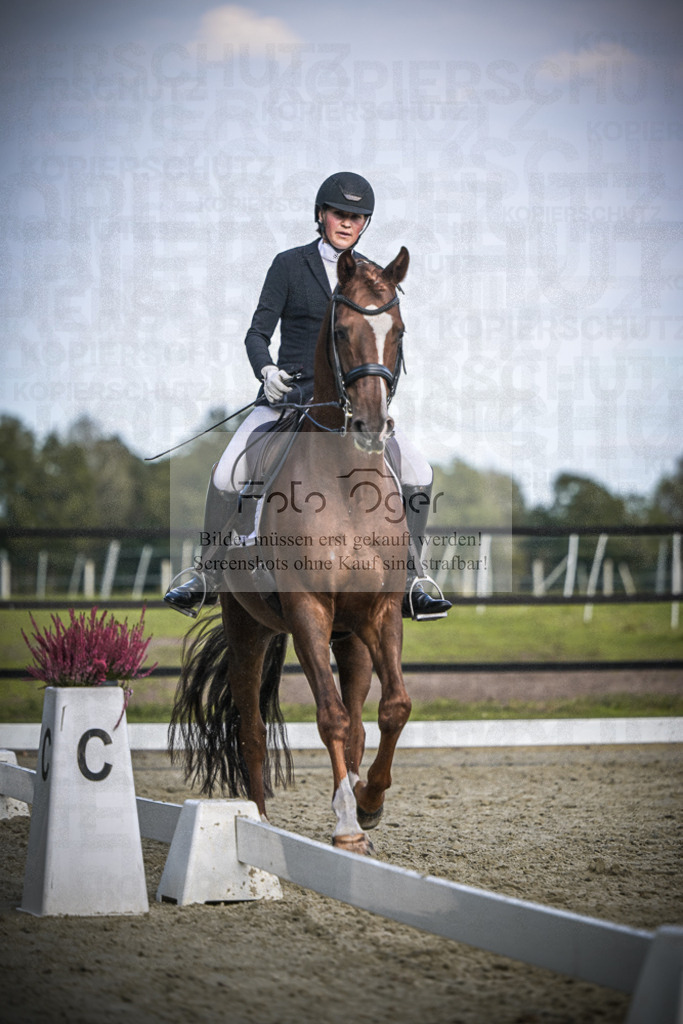 DOS_3817 | Entdecke hochwertige Reitturnierfotos von Foto Oger. Professionell, emotional und authentisch – jetzt Lieblingsmomente im Shop bestellen.Deutschlandweite Turnierfotografie. - Realisiert mit Pictrs.com