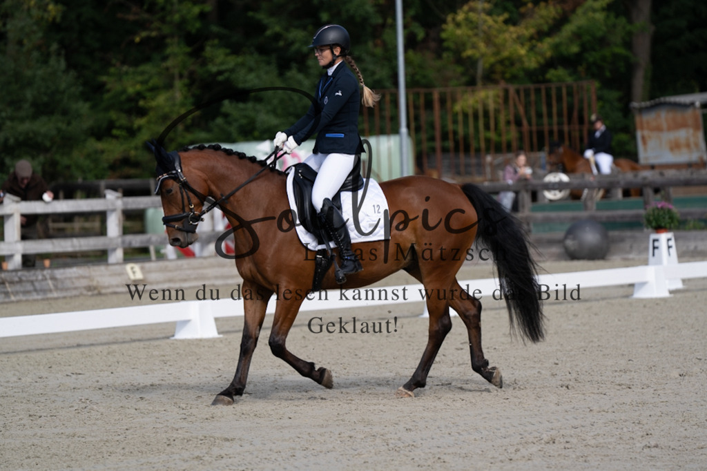 A7V06856 | Turnier/Reitfotograf