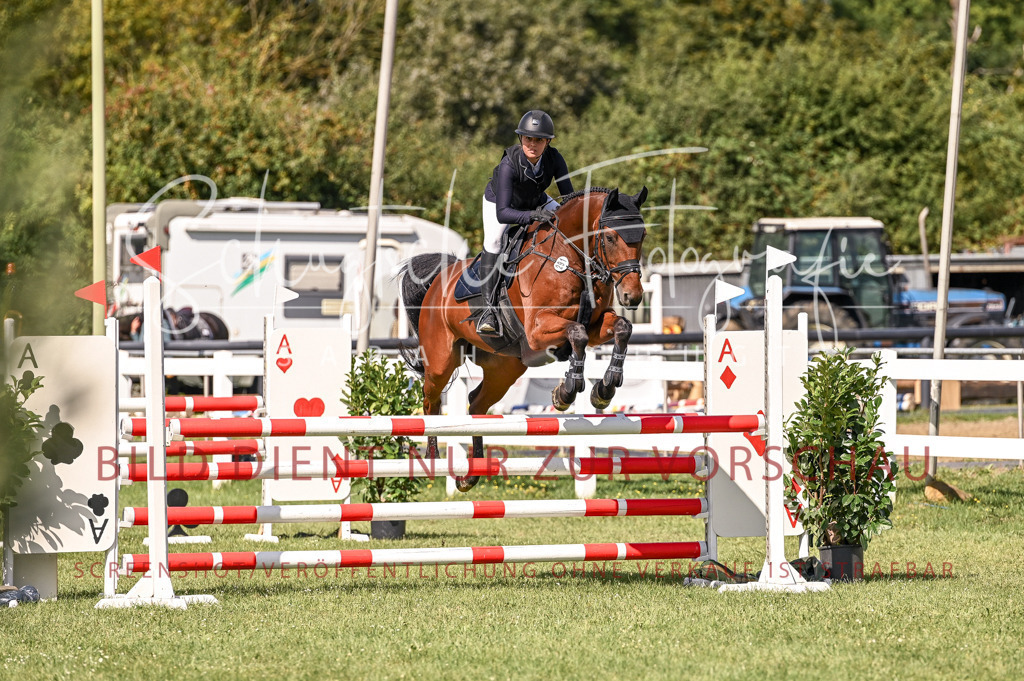 Schugtsche-Düren.2024-08.Amat.Springprf.L-88 | Schugtsche Fotografie - Realisiert mit Pictrs.com