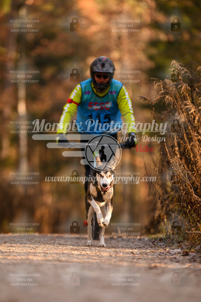 MompixPhotography_DM_AKDM_SO_2025_Scooter-184 | PayLife