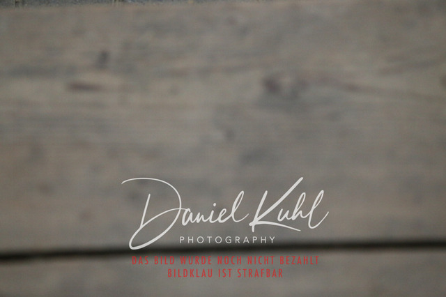 IMG_0595 | Turnierfotos kaufen im Webshop von Daniel Kuhl Photography – entdecke professionelle Reitsportfotos aus Turnieren & Events. Hochwertige Turnierbilder online bestellen & sichern. Jetzt Fotos von Reitsportturnieren kaufen!