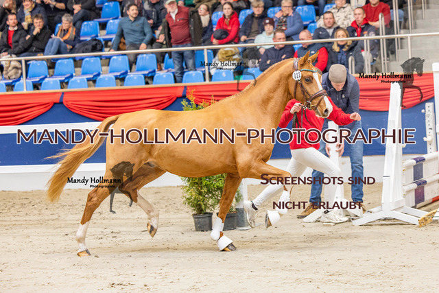 KWEDR (30 von 496) | mandyhollmannphotographie