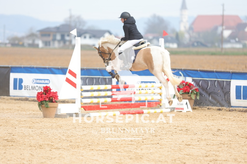 0P6A8939 | Willkommen bei Brunnmayr - Design & Fotografie – Ihrem Spezialisten für Reitturniere und Pferdeveranstaltungen in Oberösterreich, Salzburg und Bayern! Seit über 17 Jahren sind wir leidenschaftlich dabei.