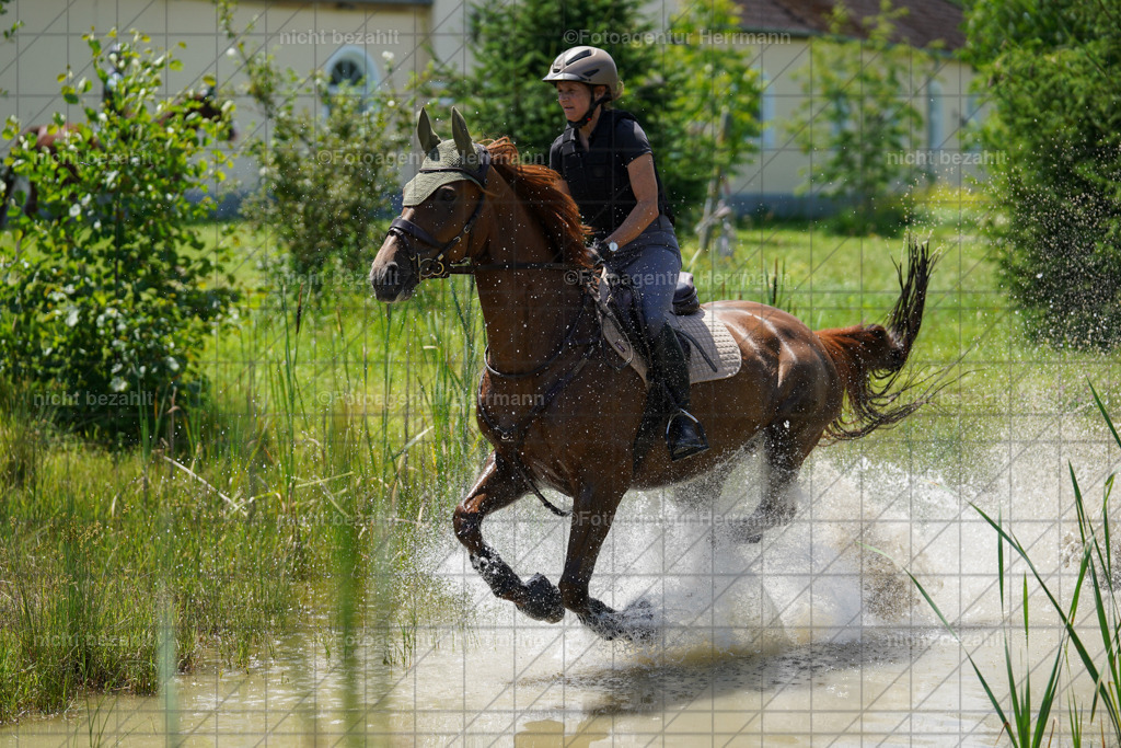 20240622-FAH07115 | Turnierfotografen Bayern, Reitsportbilder aus dem Geländekurs mit Felix Etzel auf dem Gut Waitzacker 2024