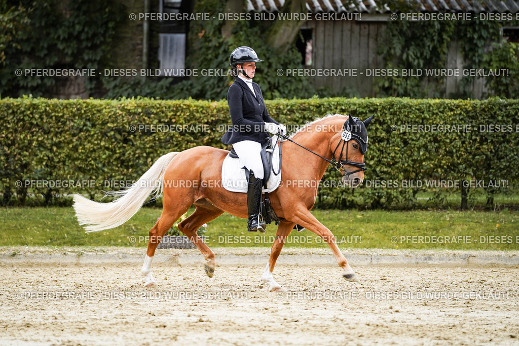 DSC08588 | Pferdegrafie