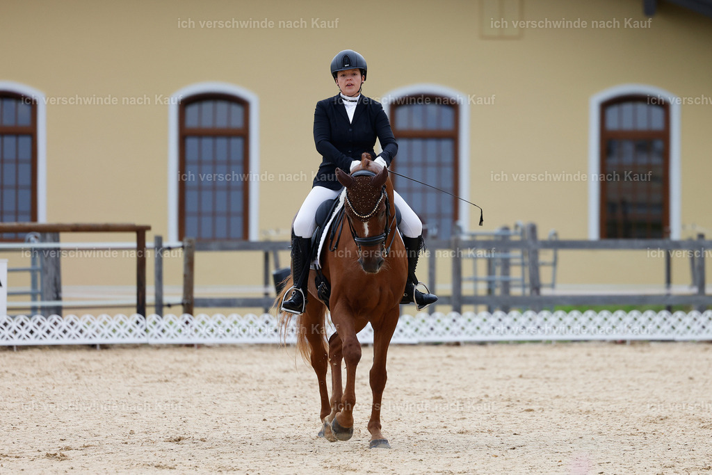 3-111-Dressur M_-StoibPH-2296 | working equitationturnier fotograf videograf stoibphotography marixx film working equitation deutschland reitsport turnierfotografie eventfotografie equestrian events