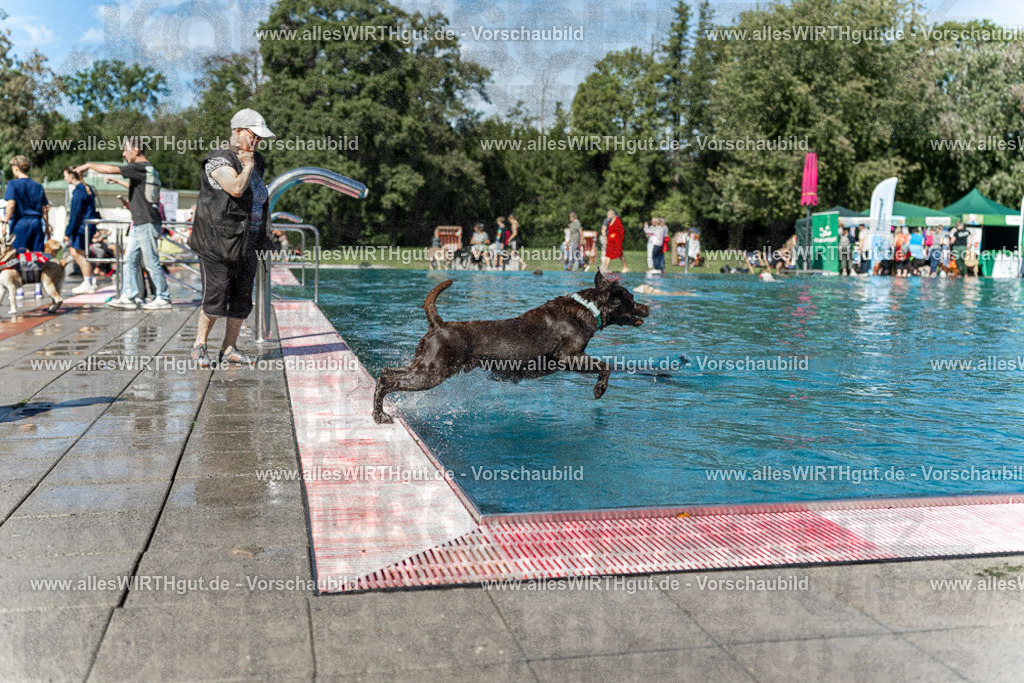 Hundeschwimmen_Volksbad_2026-allesWIRTHgut_Tierfotografie-2609061157-110704-7R509985 | Professionelle Tierfotografie in Mönchengladbach von Daniel Wirth (allesWIRTHgut). Liebevolle & natürliche Bilder von Hunden & Katzen für unvergessliche Erinnerungen.