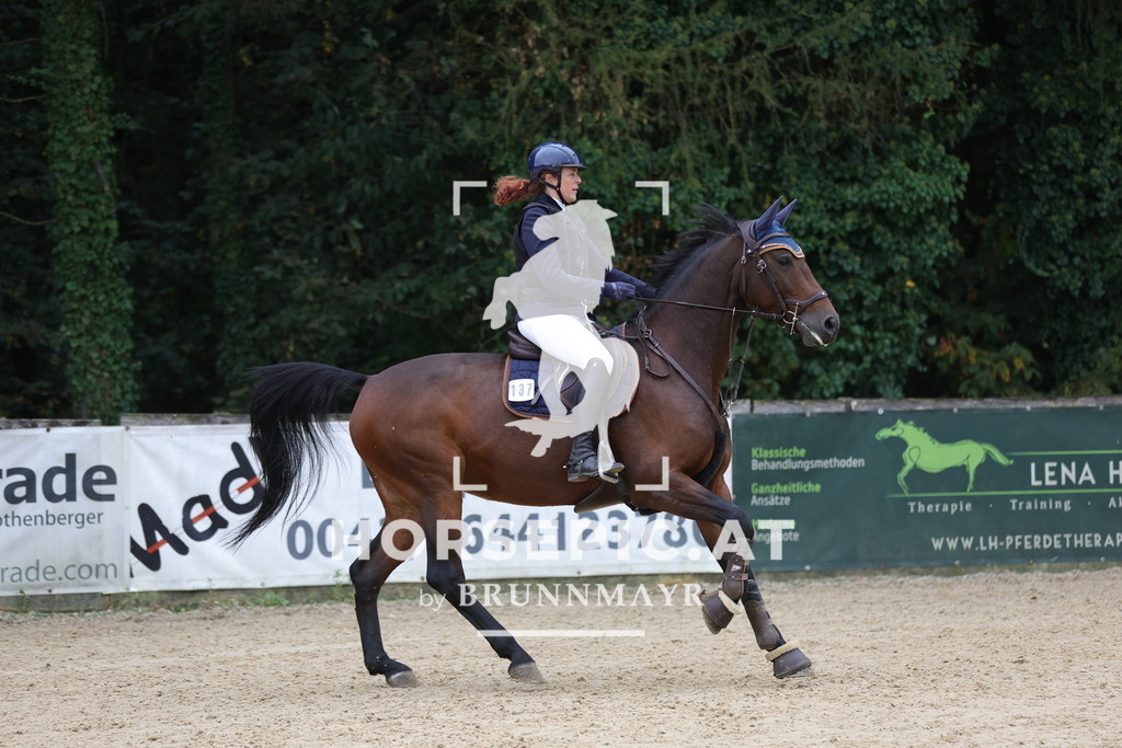 0P6A5617 | Willkommen bei Brunnmayr - Design & Fotografie – Ihrem Spezialisten für Reitturniere und Pferdeveranstaltungen in Oberösterreich, Salzburg und Bayern! Seit über 17 Jahren sind wir leidenschaftlich dabei.